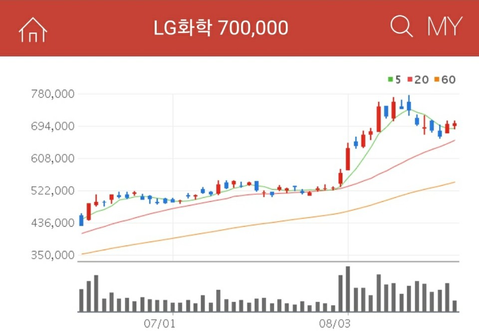 2차전지-관려주-LG화학