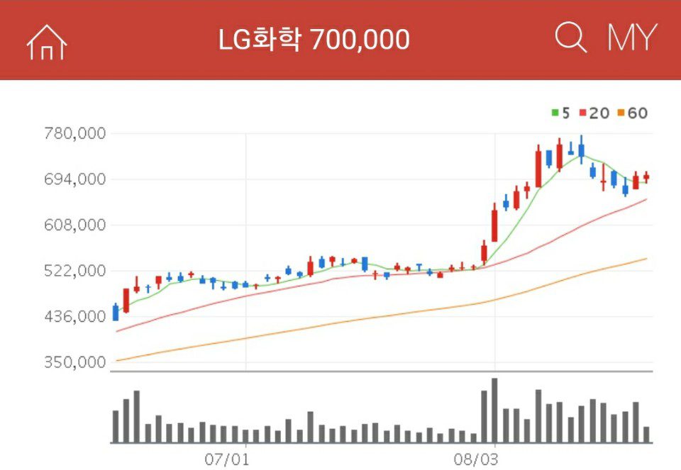 LG화학 차트 2차전지-관려주-LG화학
