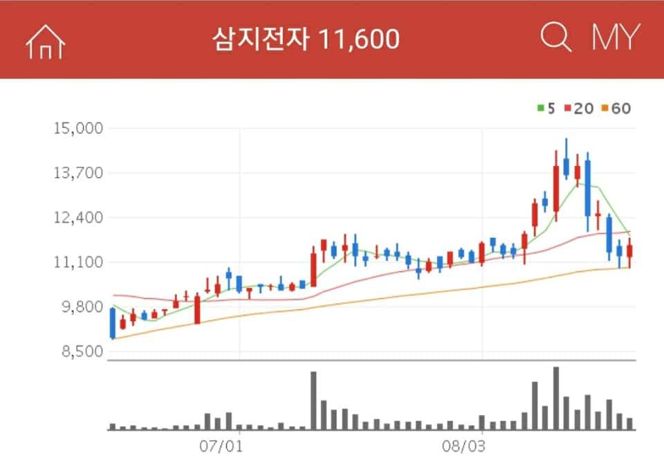 5G관련주 삼지전자