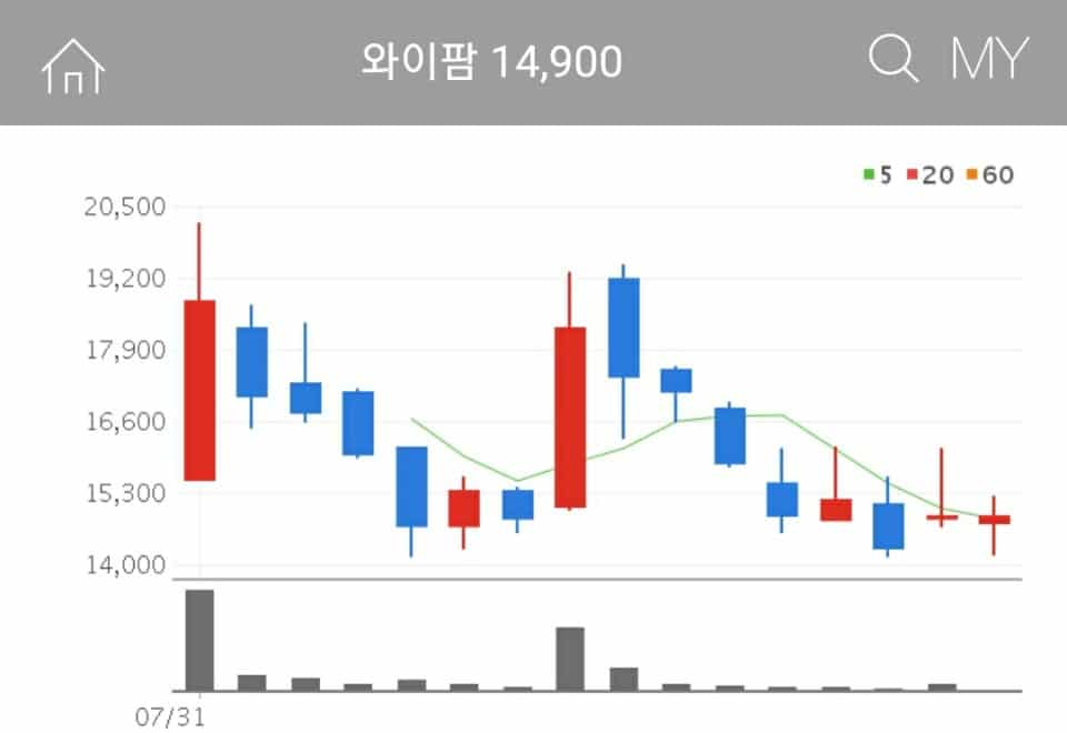 와이팜 5G 관련주 와이팜