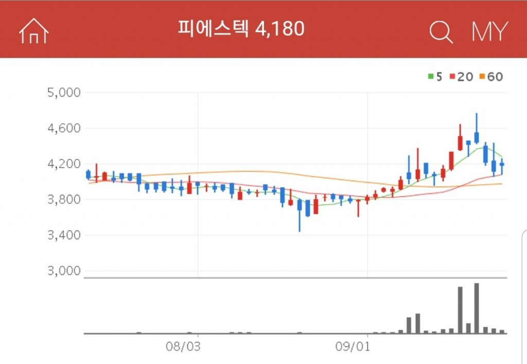 각종 전력량계와 원격검침 시스템 생산 및 판매를 하고 있는 피에스텍