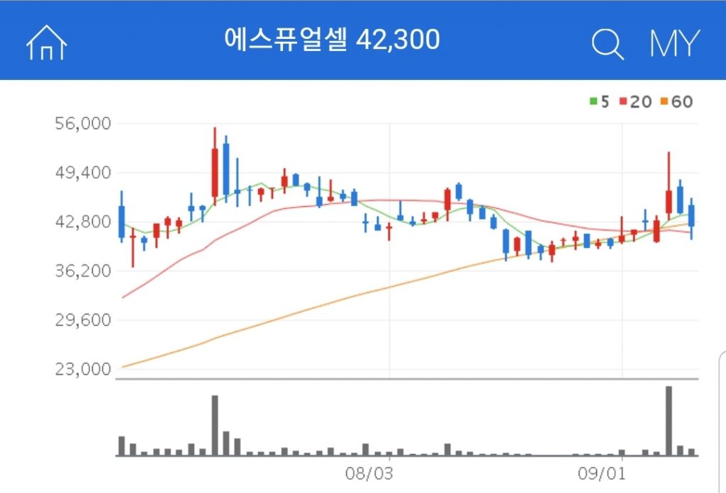 그린뉴딜 관련주 대장주 수혜주 에스퓨얼셀