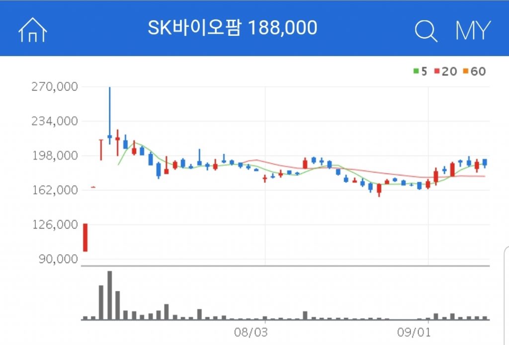 SK바이오팜 K뉴딜 관련주 대장주 수혜주 SK바이오팜