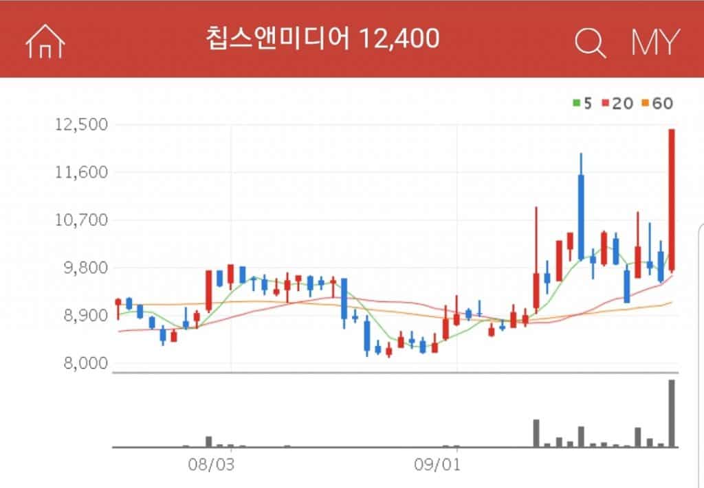 가상현실 기기의 주요 코덱 기술을 가지고 있고, 비디오 IP 재산권을 사용할 수 있도록 권리 부여를 할 수 있는 기업 칩스앤미디어