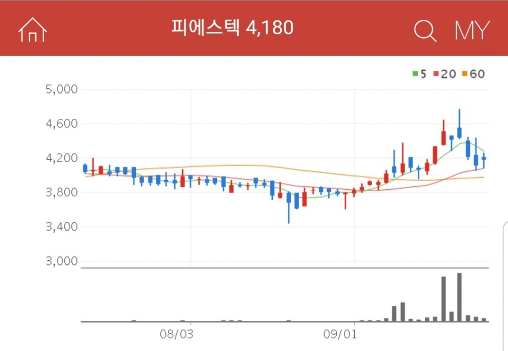 피에스텍 각종 전력량계와 원격검침 시스템 생산 및 판매를 하고 있는 피에스텍