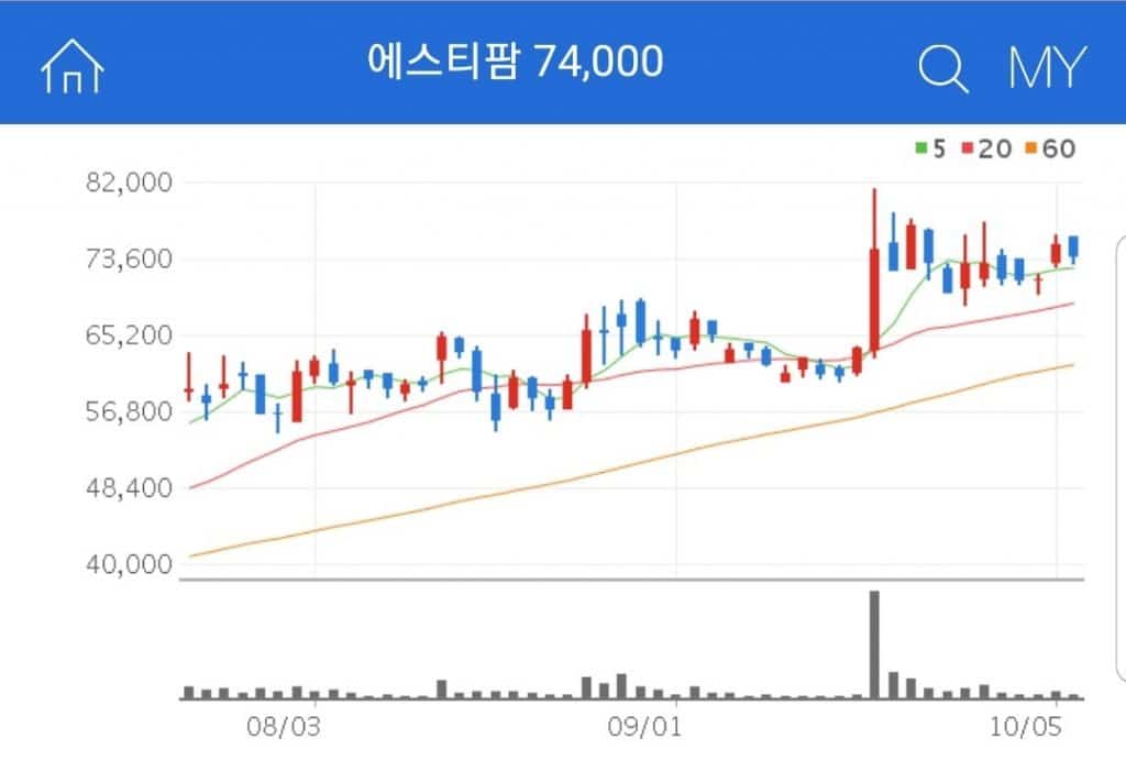 CMO 방식으로 제조, 판매하는 신약 원료의약품 및 제네릭 원료의약품을 주요 제품으로 하는 기업 에스티팜