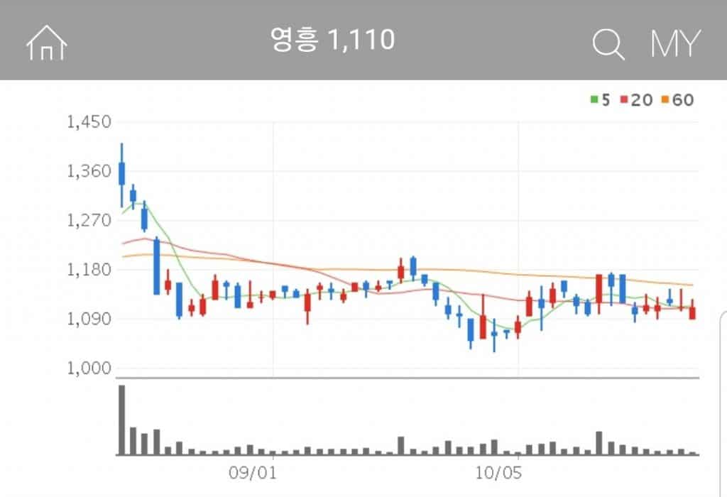 철강 사업, 자동차 부품사업, 물류 사업, 포장재 사업 등을 하는 영흥