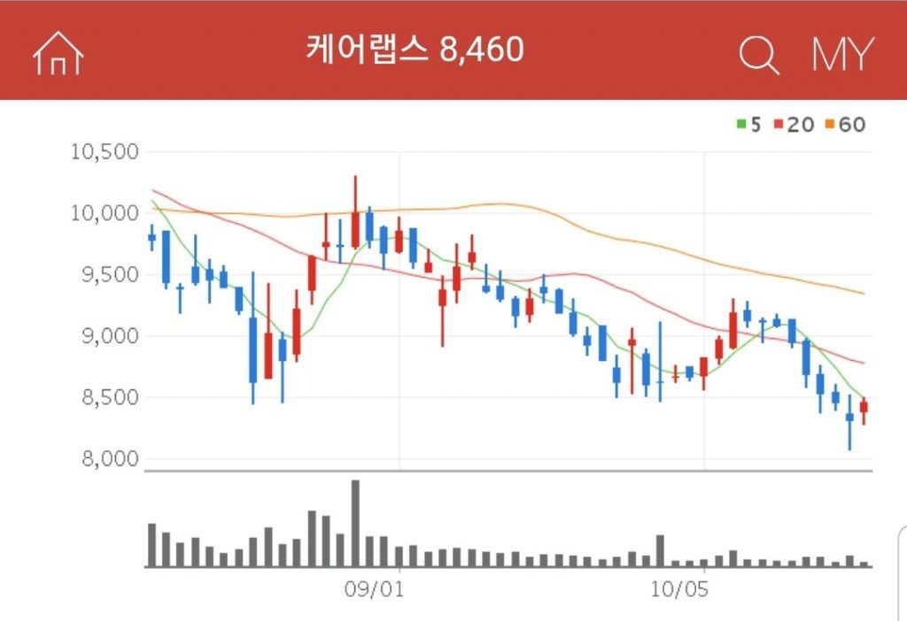 원격진료 관련주 대장주 수혜주 케어랩스