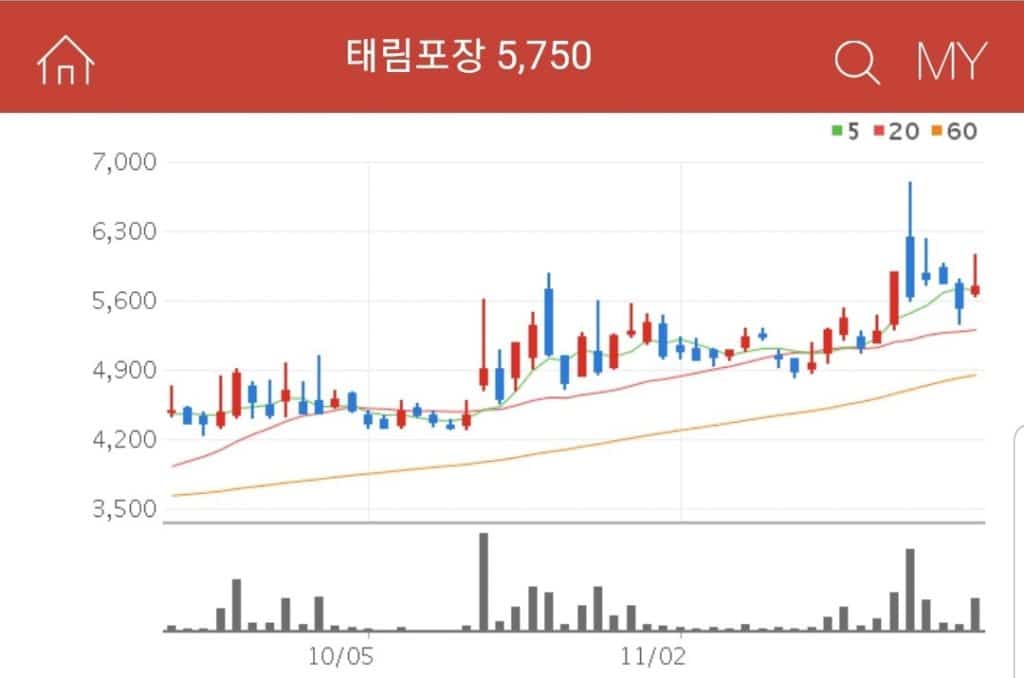 태림포장 포장 관련주 태림포장 기업분석