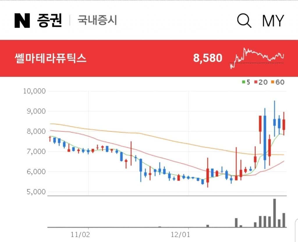 쎌마테라퓨틱스 변종 코로나 관련주 쎌마테라퓨틱스