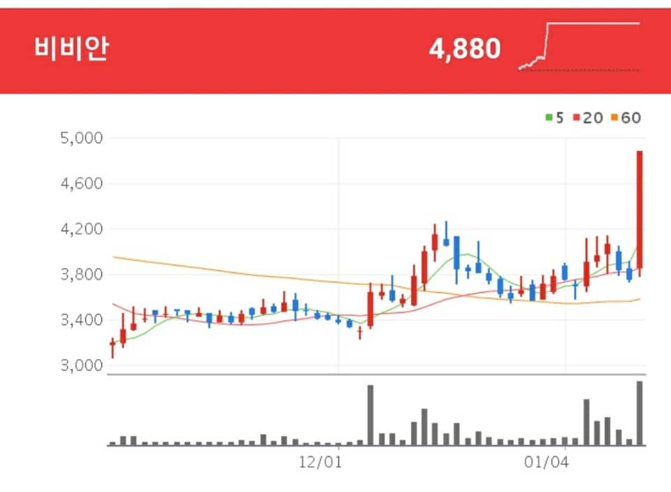 비비안 여성용 내의, 스타킹, 카바링사 상품의 생산 및 판매를 주사업으로 영위하고 있는 비비안