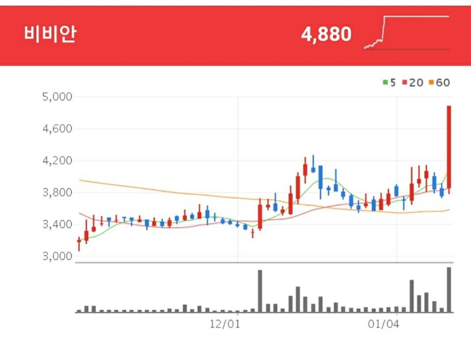 여성용 내의, 스타킹, 카바링사 상품의 생산 및 판매를 주사업으로 영위하고 있는 비비안