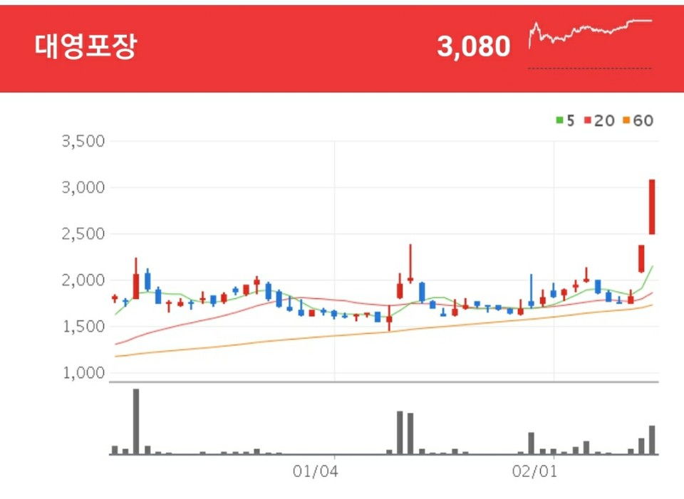 골판지 관련주 - 대영포장