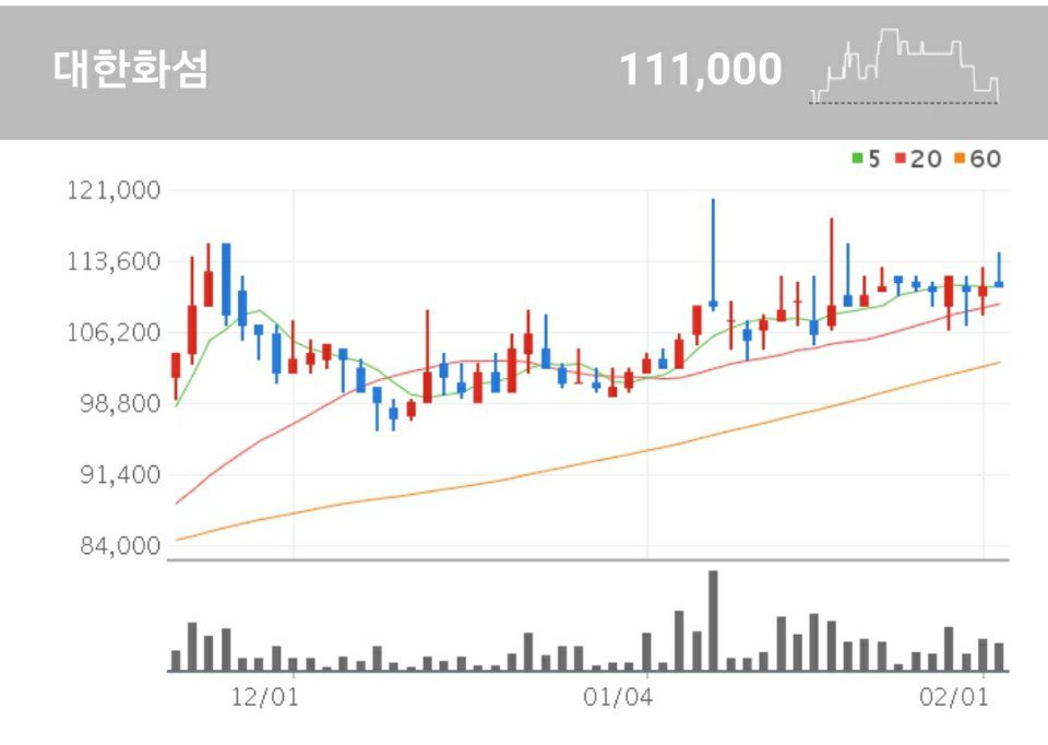 직물용으로 사용되는 폴리에스터 등의 합성섬유 제조 및 판매를 주사업으로 영위하고 있는 대한화섬