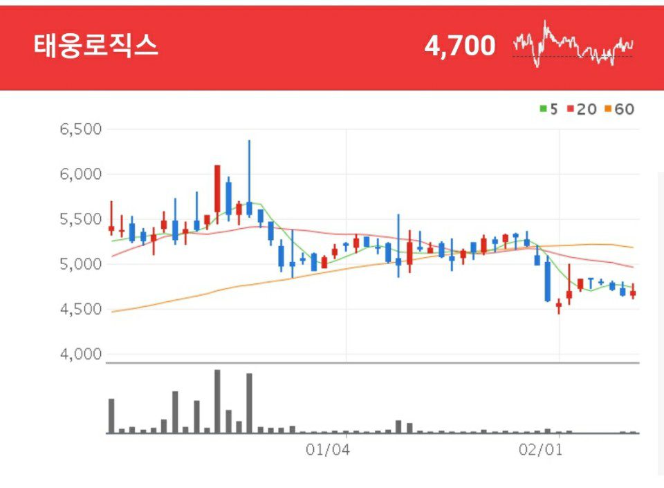 국제물류주선을 주사업으로 영위하고 있는 NVOCC 태웅로직스