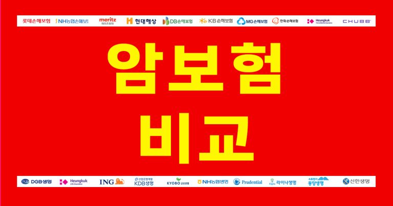 암보험비교사이트 필요성