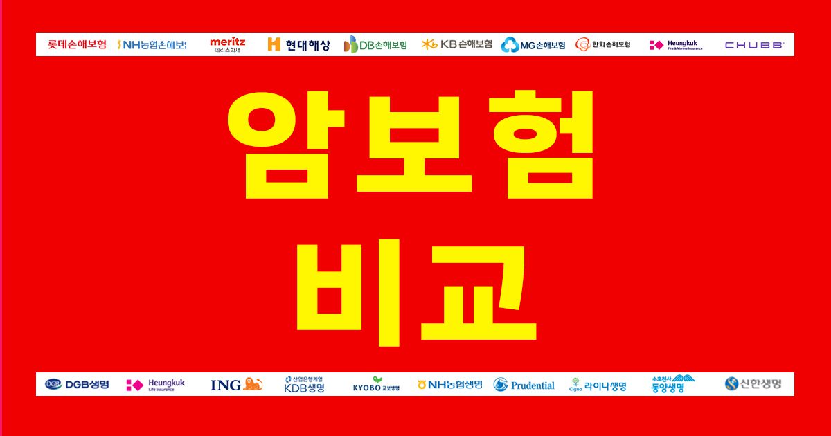 암보험비교사이트 필요성